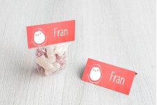Pinguin met strikje